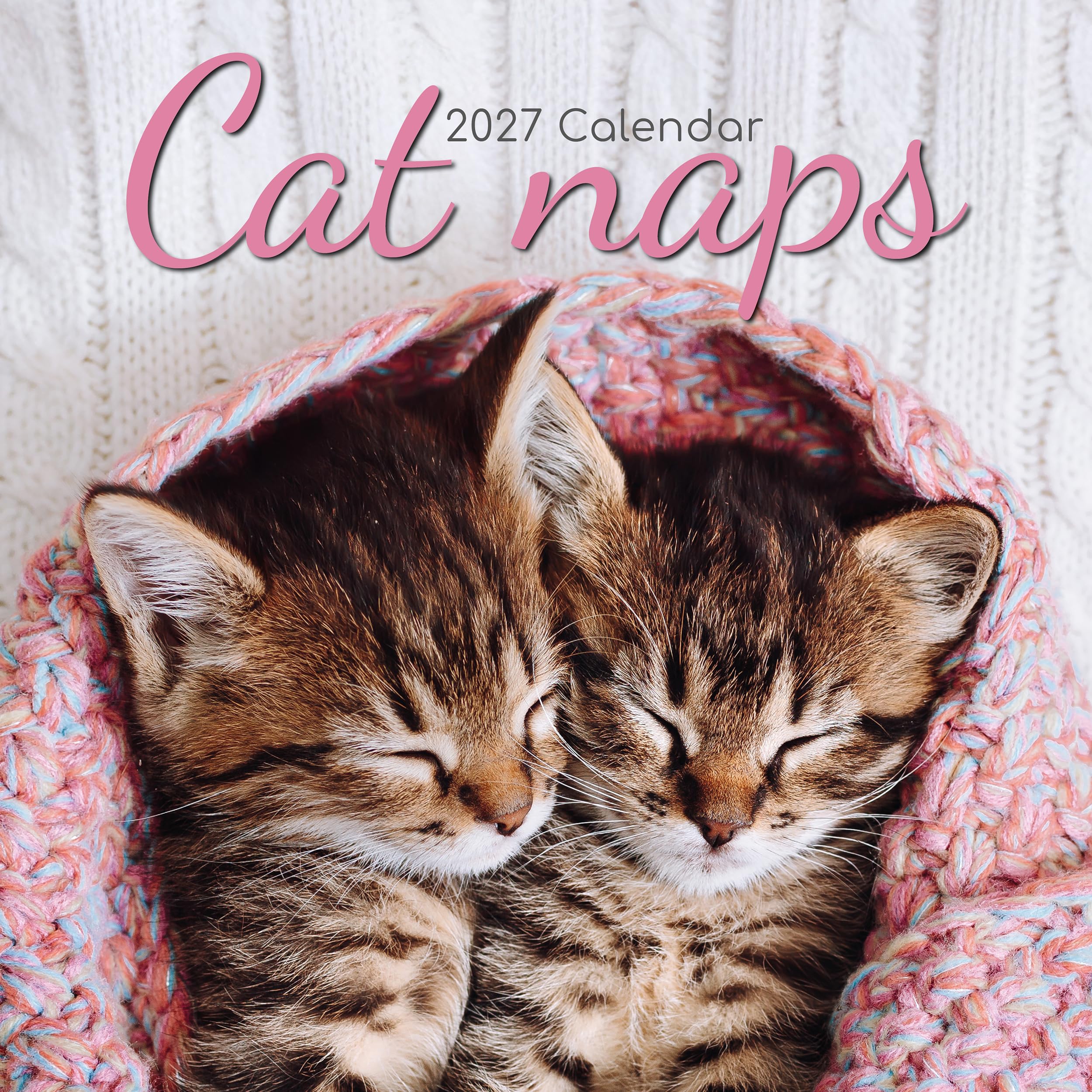 TGSC | Cat Naps 2027 Calendar Square Wall Calendar 2027 UK | Planner for Home or Office Organisation - Cat Naps Calendar