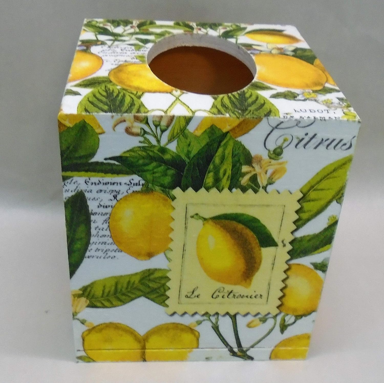 Handmade Decoupage Wood Tissue Box Cover, Lemons, Citrus