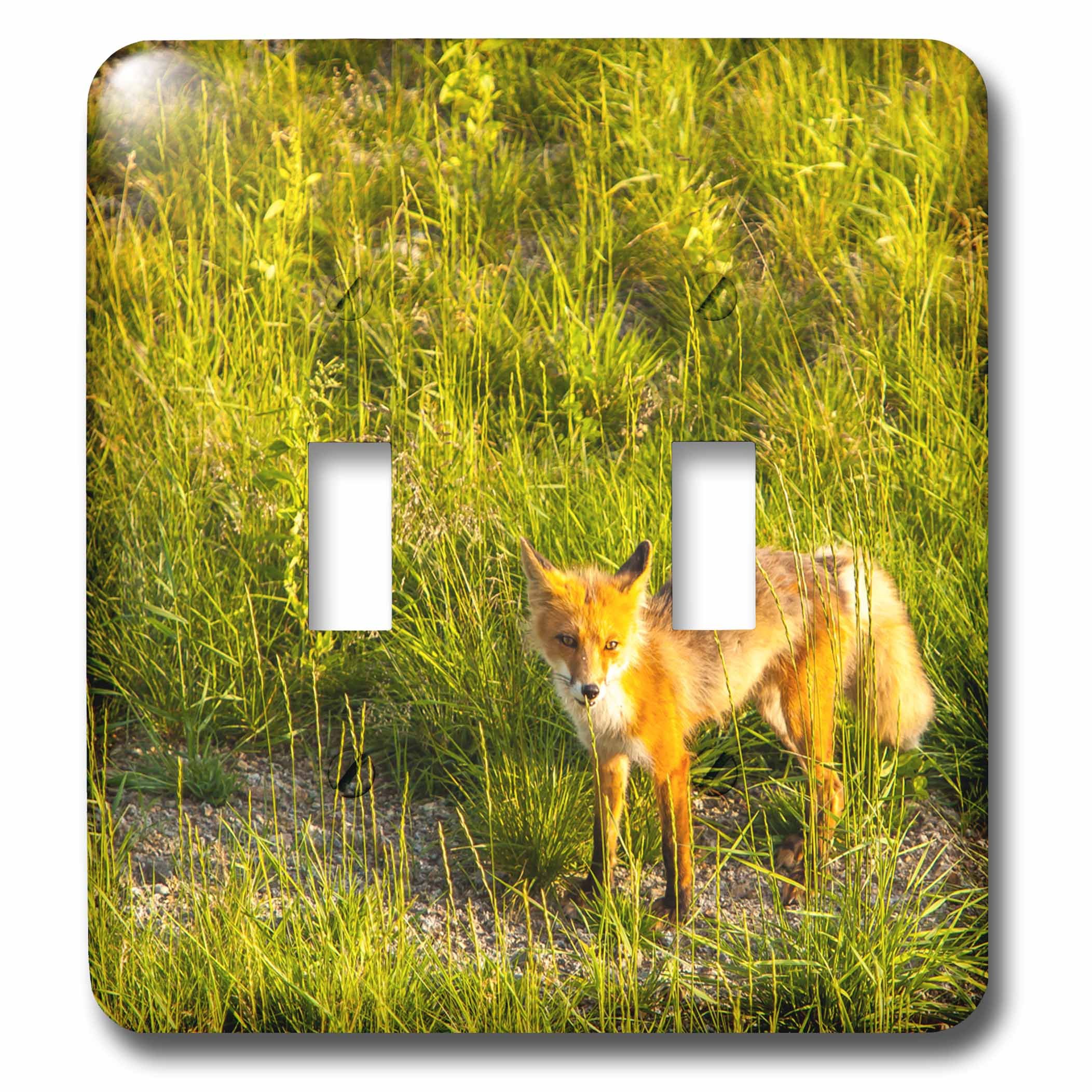 Interrupteur renard rouge Midway Lake Alaska pour une déco nature salon