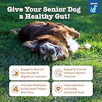 Vista 2 de Zesty Paws Probióticos para perros – Enzimas digestivas para la flora intestinal, salud digestiva, diarrea y apoyo intestinal – Clínicamente