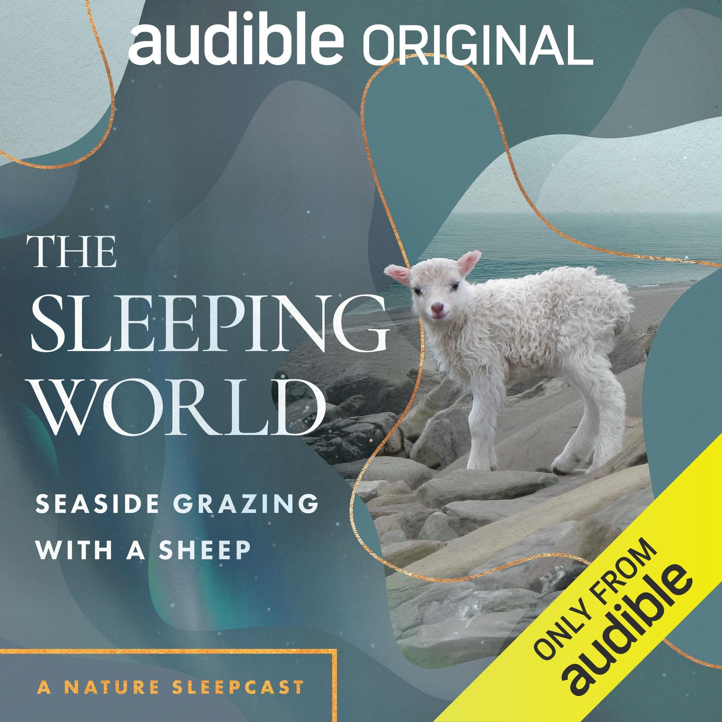 Cover art for The Sleeping World: Seaside Grazing with a Sheep