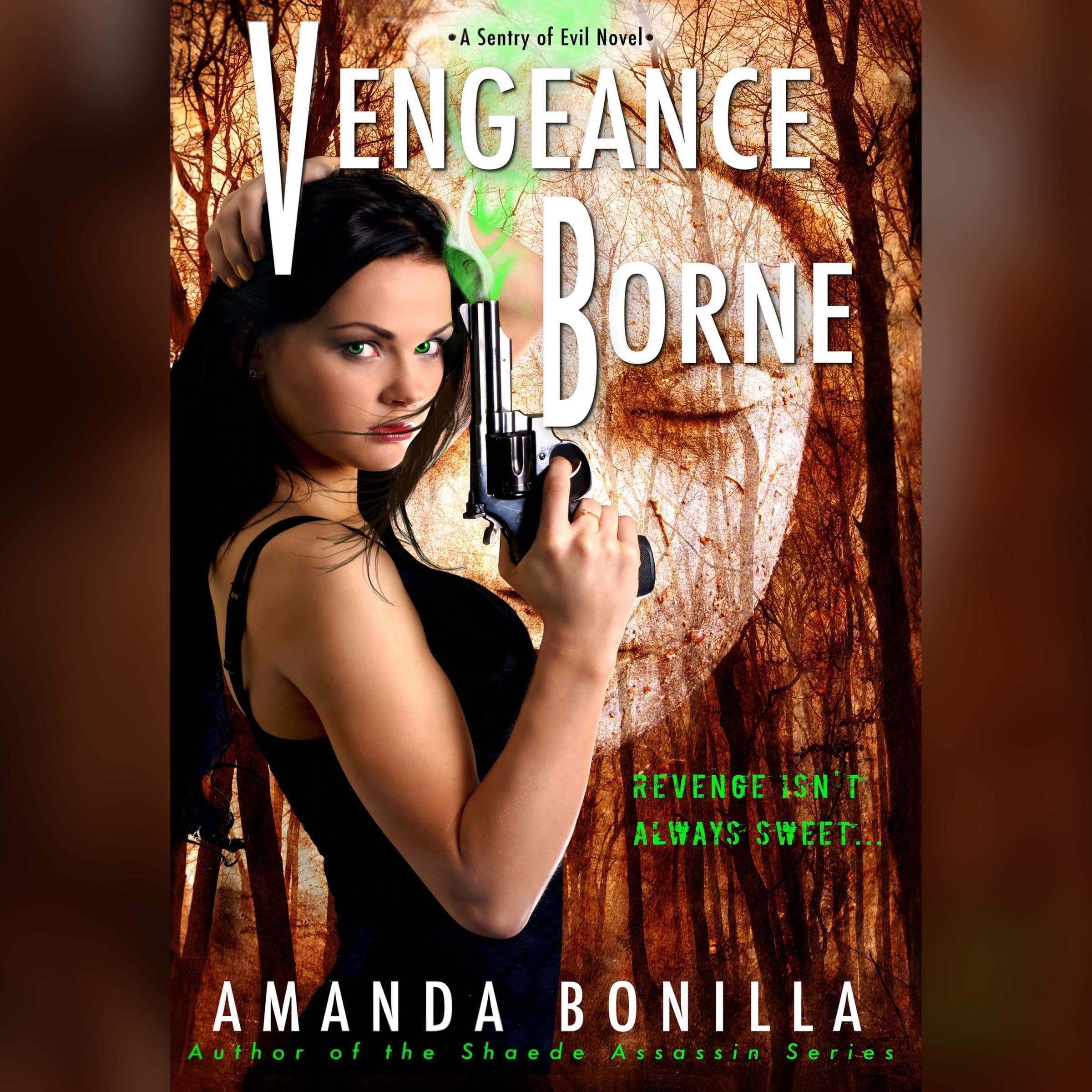 Cover art for Vengeance Borne