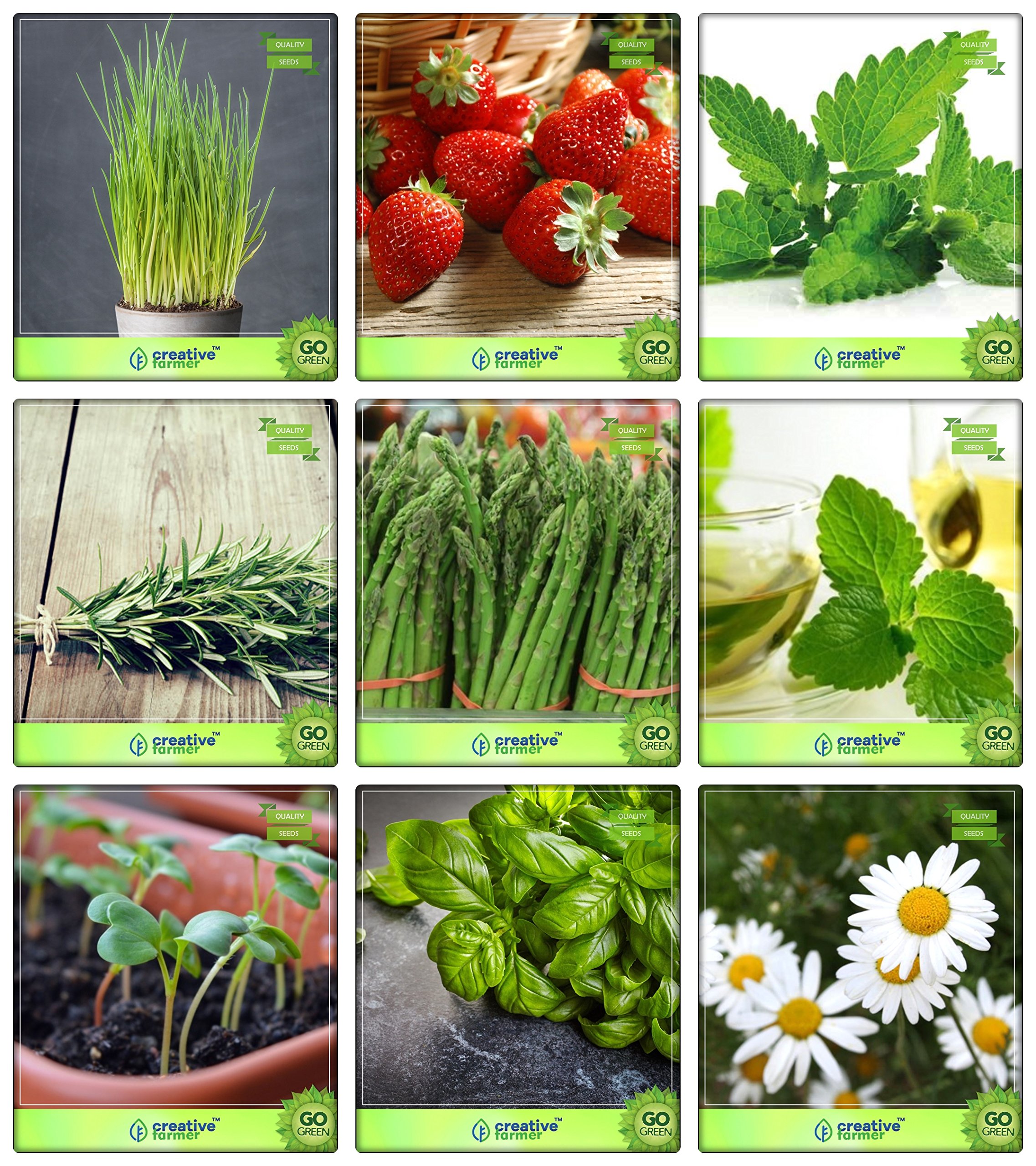 Creative Farmer Culinary Herb Combo Chives, Alpine Strawberry, Lemon Balm, Rosemary, Asparagus, Mint, Cress Common, Lemon Basil, German Chamomille Herb Seeds Combo Pack (B078V5Z5RG) Amazon Price History, Amazon Price Tracker