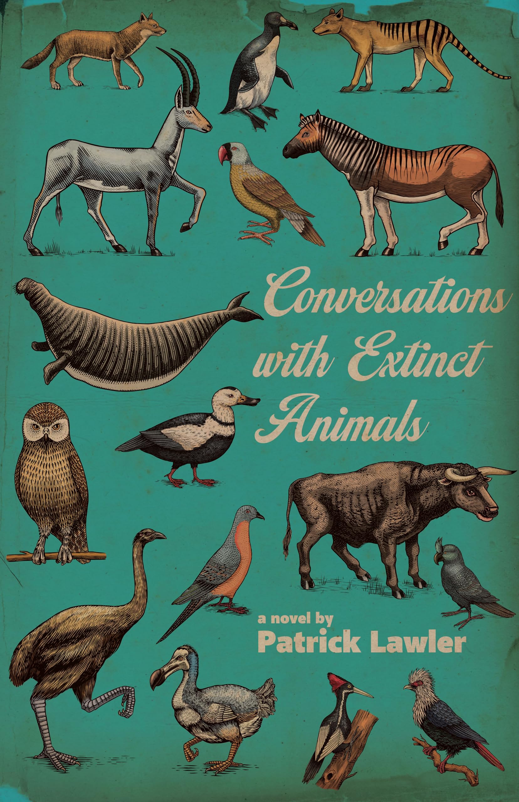 Buy Conversations With Extinct Animals — BookShops.in