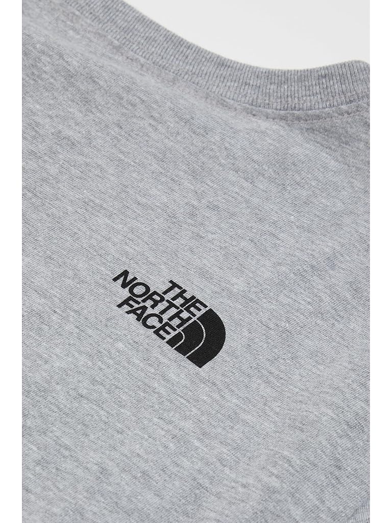 Gray The North Face Evolution Half Dome Long Sleeve Tee (Little Kid/Big Kid)