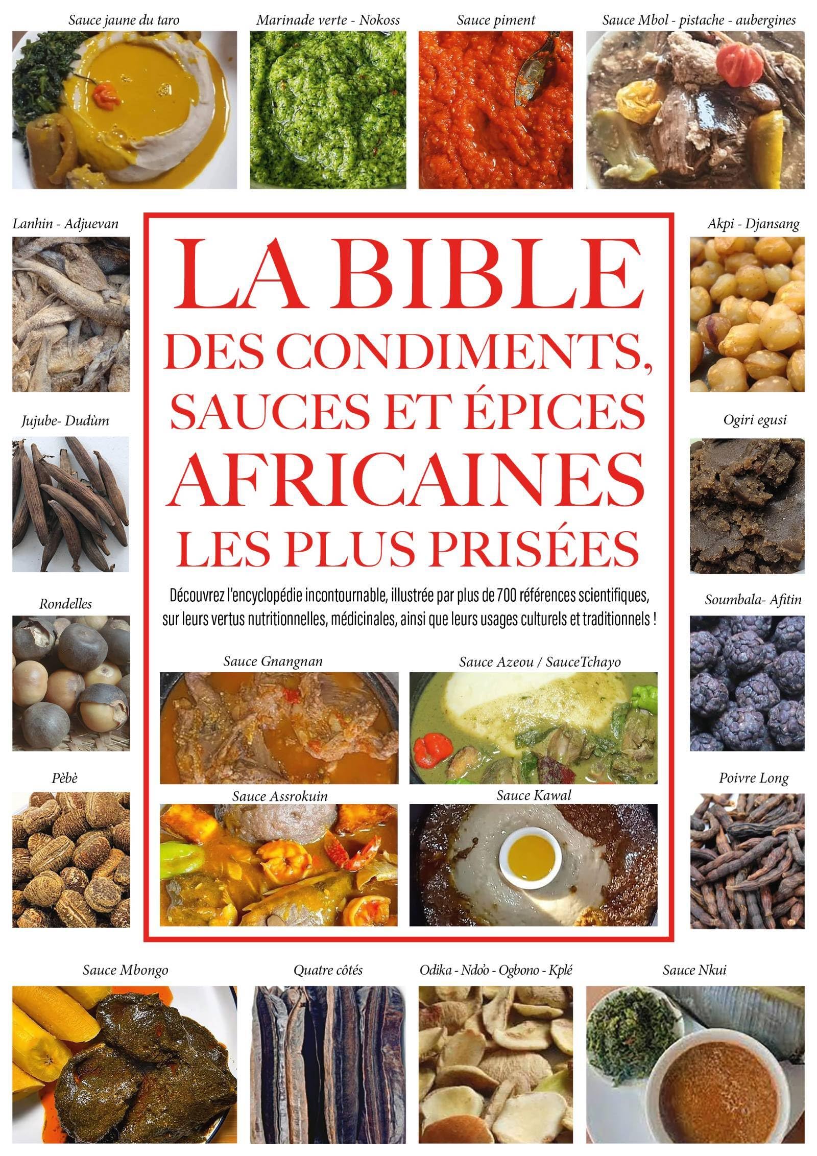 La Bible des condiments, sauces et épices africaines les plus prisées