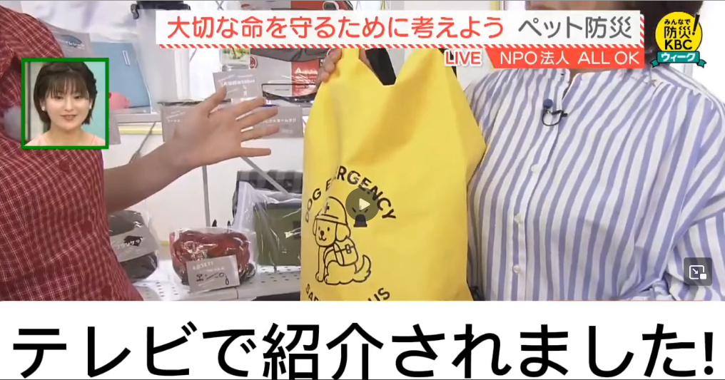 Amazon.co.jp: SAFETY PLUS 猫用防災セット 猫 避難用品 特大ケージ