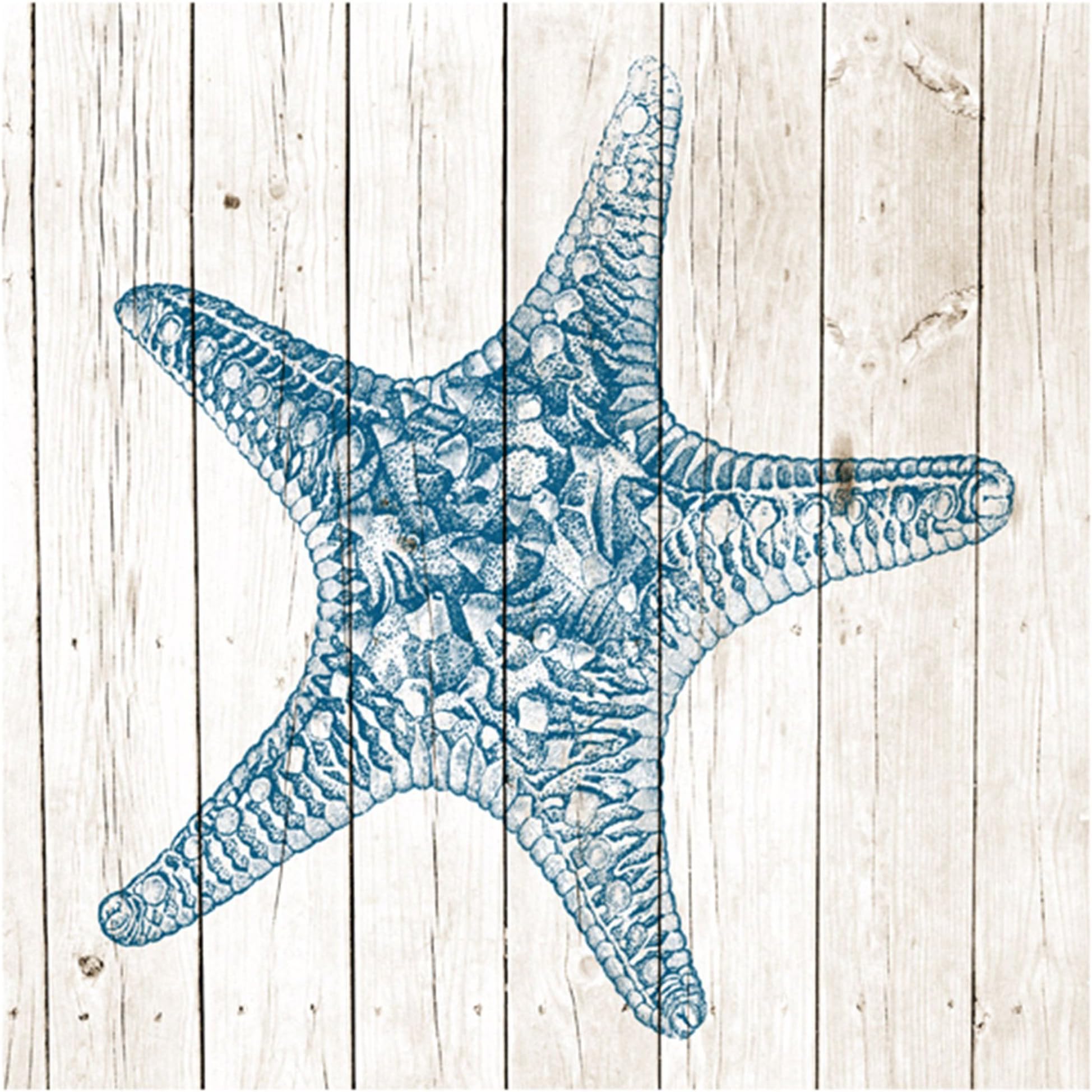 Epic Art Starfish on Planks Print