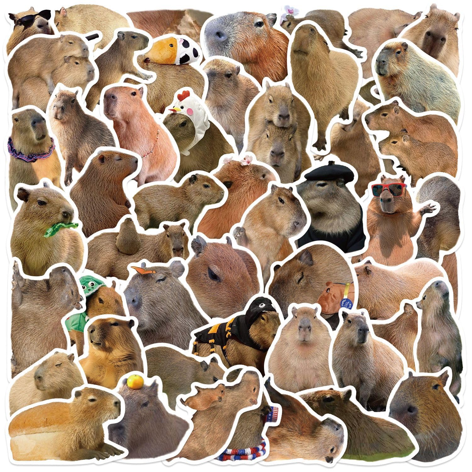Chaopaitiezhi Girls Capybara Stickers,Cartoon Graffiti Stickers,50Pcs Capybara Vinyl Waterproof Decals For Kids Teens,For Phone Laptop Water Bottles Skateboard Computer Phone Luggage Guitar Car Gifts
