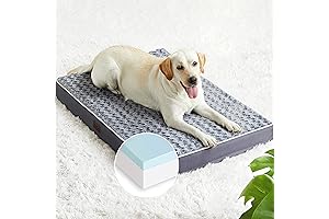 Orthopedic Memory Foam Dog Mattress: The Ultimate Comfort and Support for Your Furry Friend