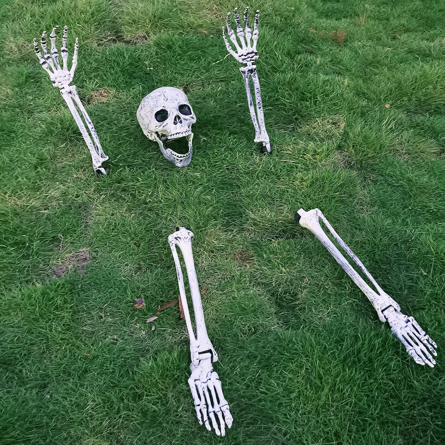 BrainGiggles Scary Skeleton Halloween Decorations Outdoor - Realistic Skull Skeleton for Halloween Party Outdoor Garden Yard Decoration (Set of 5)