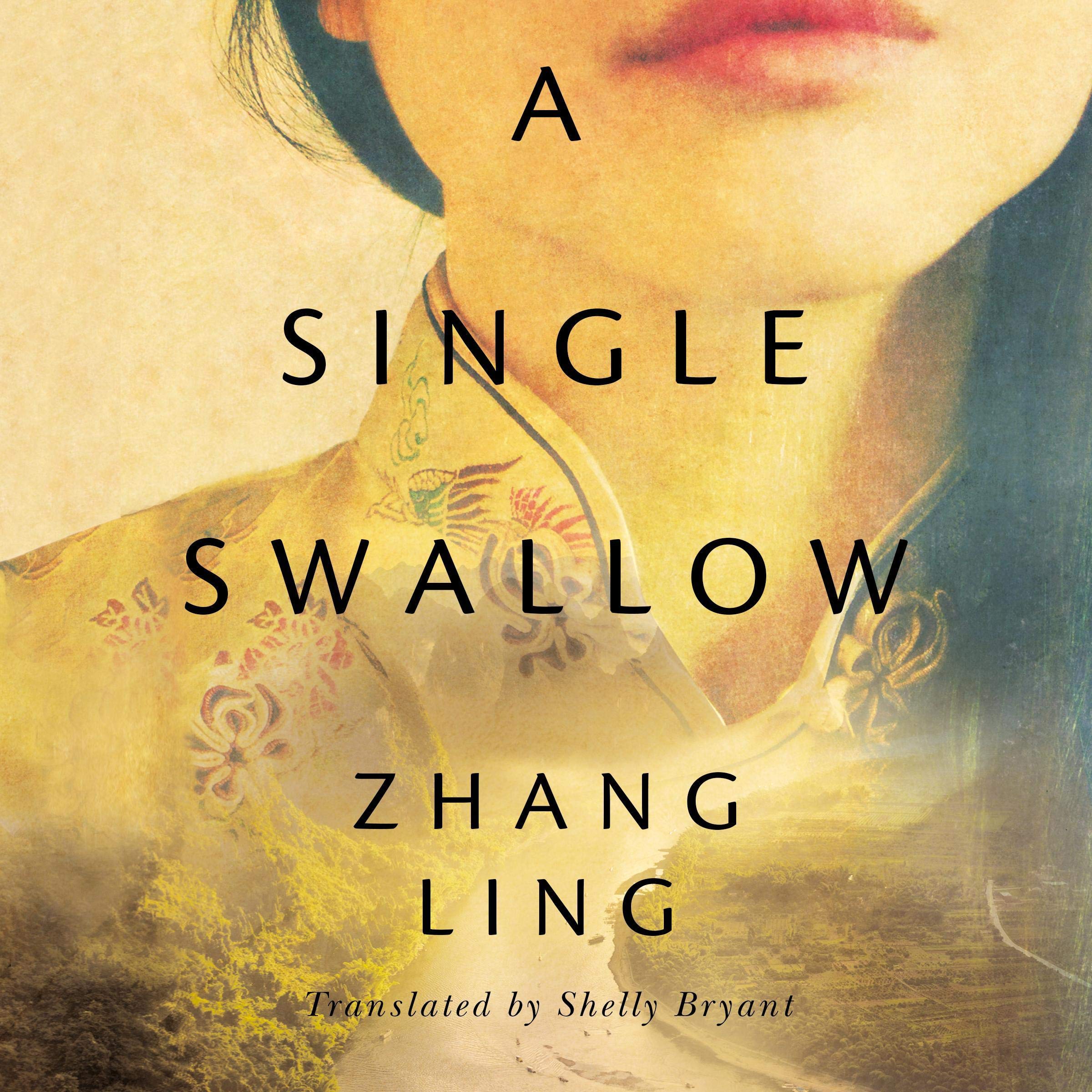 Cover art for A Single Swallow