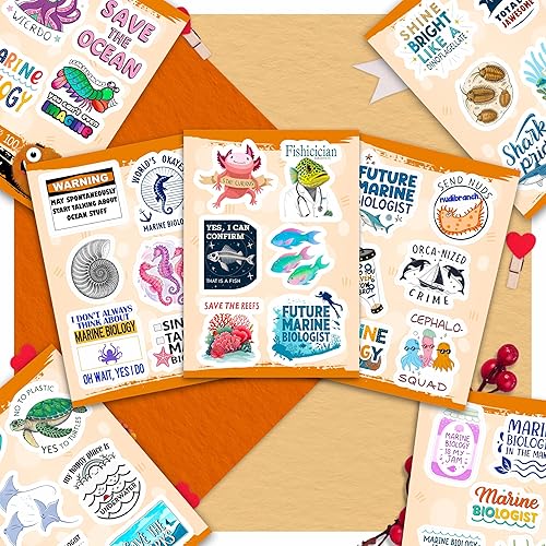 Vista 482 de BulbaCraft 100 calcomanías de meme de gato, divertidas calcomanías de gato, regalos para mujeres y hombres Gato Meme