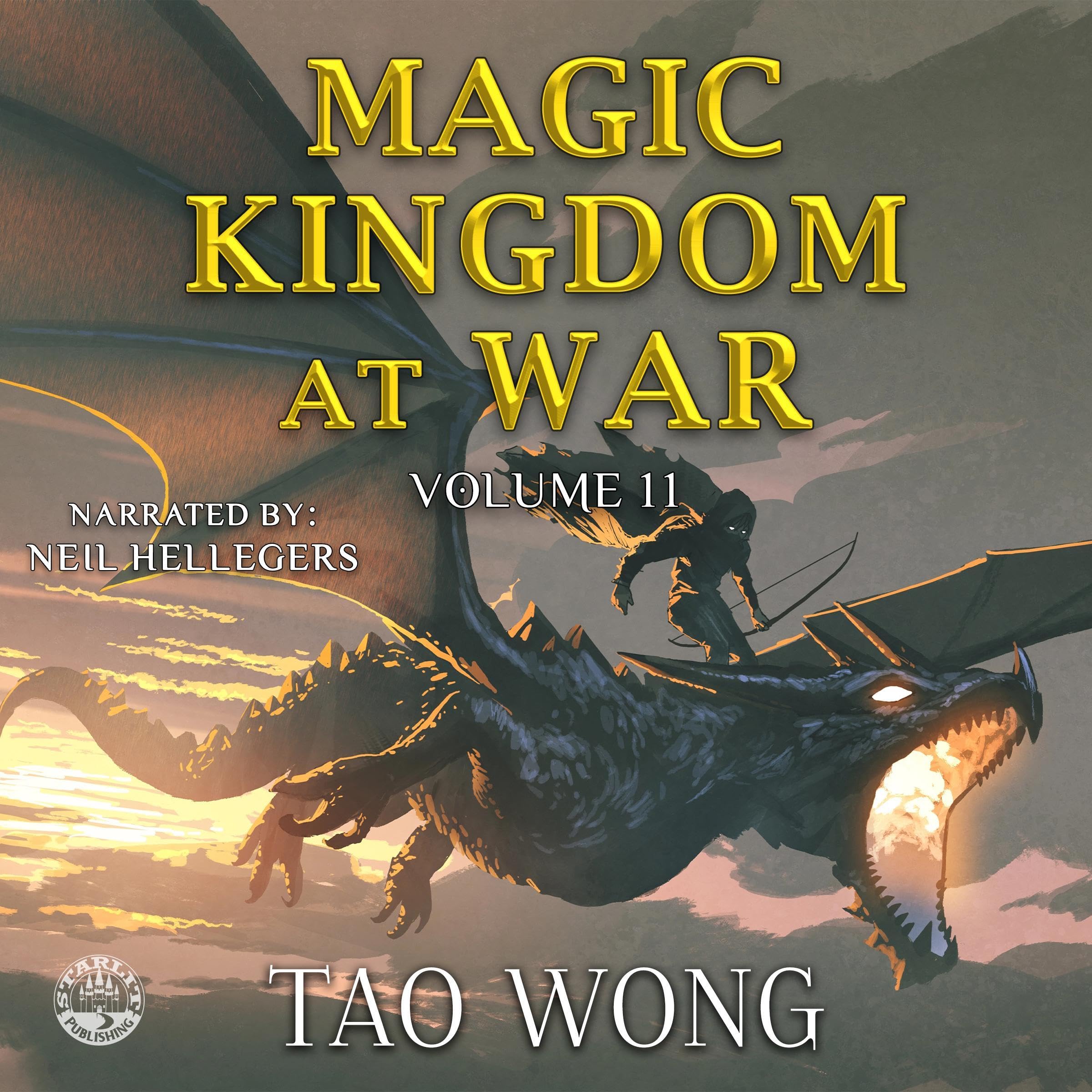 Cover art for Magic Kingdom at War, Volume 11