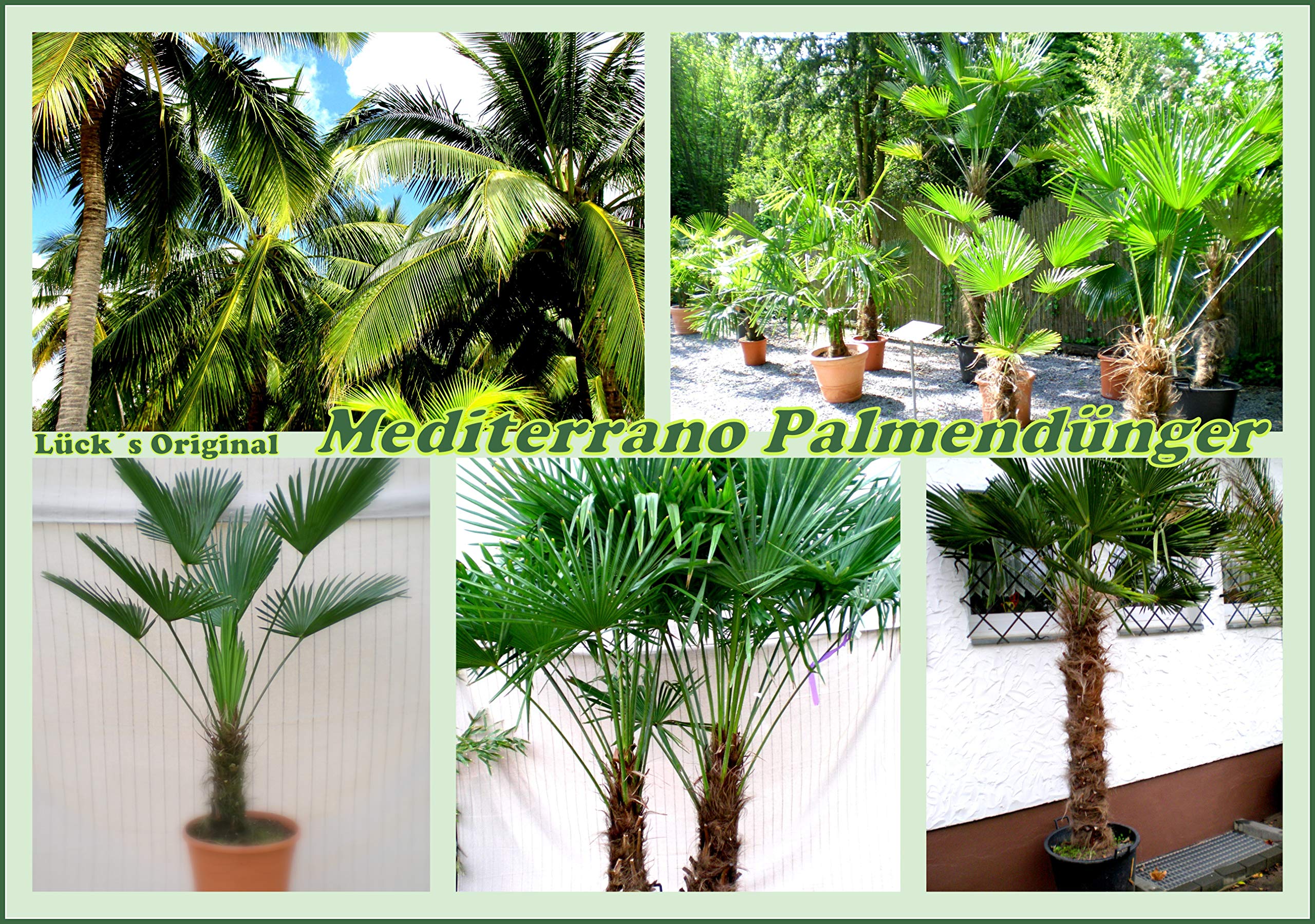 Abono para palmeras, arboles de plantas tropicales como olivas, limones