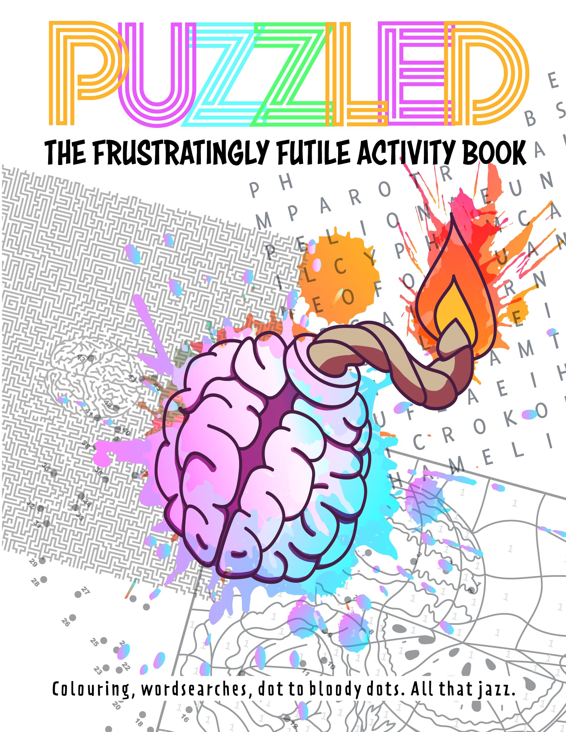 Puzzled Book Of Puzzling Puzzles