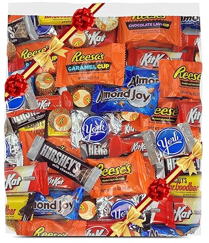 Assorted Chocolate Candy Variety Pack Bulk 2 lb - Individually Wrapped Fun Size Milk & Dark Chocolate Mix - Bulk Candy for Parties, Office Snacks, Gifting & Holiday