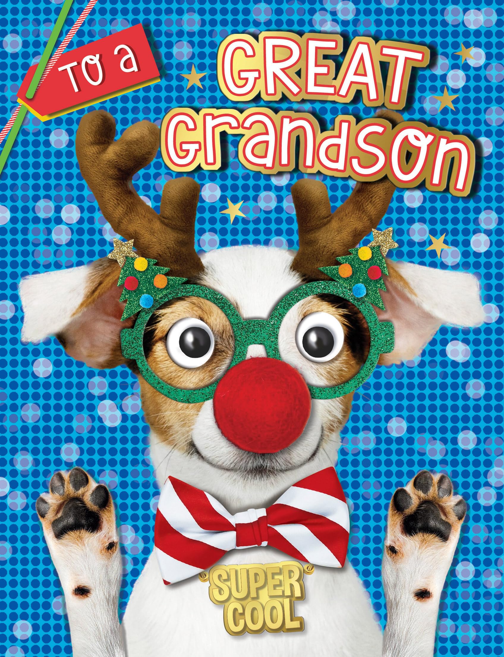 Piccadilly Greetings Christmas Card Great Grandson Super Cool Crazy dog - 8 x 6 inches