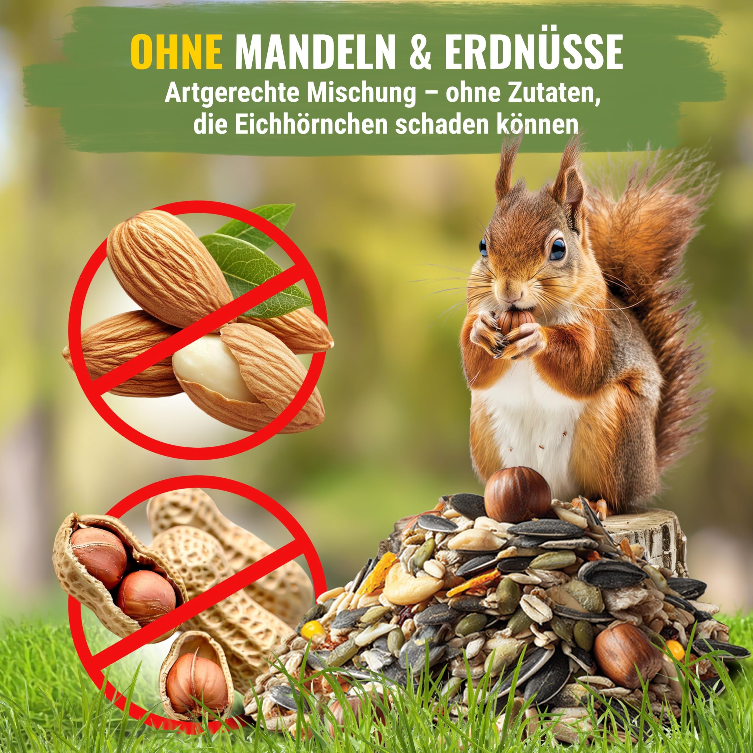 Menù per scoiattolo, 1 kg, mix premium di semi, cereali, noci, frutta e verdura, ricco di proteine ed energia, cibo tutto l'anno per scoiattoli e scoiattoli, richiudibile