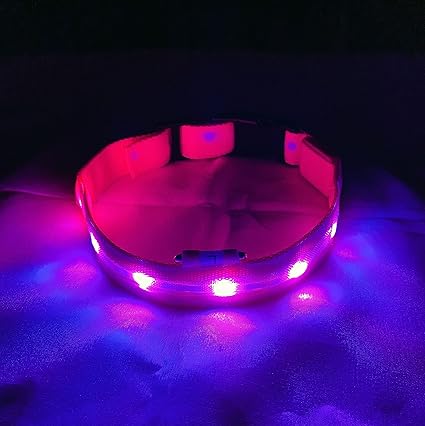 Texco International LED Dog Cat Collar - USB Rechargeable with Water Resistant Flashing Light - Bright & High Visibility Lighted Glow Collar for Pet Night Walking, Nylon Waterproof Belt (Small, Pink)
