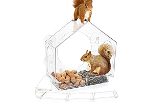 Window Squirrel Feeder with Suction Cups