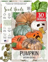 Seed Needs Pumpkin Seeds for Planting Spooky Blend - 30 Premium Heirloom Seeds (Lumina White, Jack O Lantern, Baby Boo, Blue Jarrahdale, Cinderella & More!) Non-GMO & Untreated (1 Small Pack)