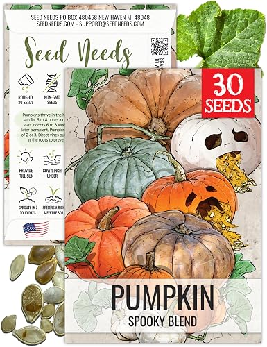 Seed Needs Pumpkin Seeds for Planting Spooky Blend - 30 Premium Heirloom Seeds (Lumina White, Jack O Lantern, Baby Boo, Blue Jarrahdale, Cinderella and More!) Non-GMO and Untreated