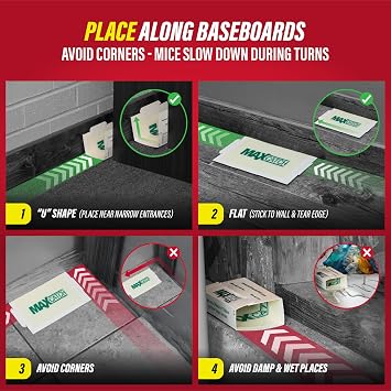 Catchmaster Max-Catch Mouse & Insect Glue Trap 36pk, Mouse Traps Indoor for Home, Sticky Pest Control Adhesive Tray for Catching Bugs, Bulk Classic Glue Boards