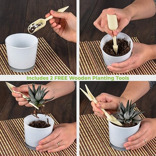 Miniatura 5 de Tiras de pinchos Cat Scat (paquete de 24) – Alfombrilla disuasoria para mascotas y perros para jardín, porche, hogar – eficaz, no invasivo y seguro