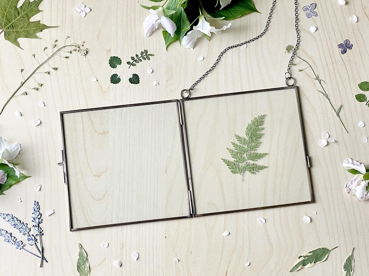 Beedecor Glass Frame for Pressed Flowers, Leaf and Artwork - Hanging Square Metal Picture Frames, Clear Double Glass Floating Frame, Wall Decor Photo Display, Set of 2 Flower Press Frames with Chain