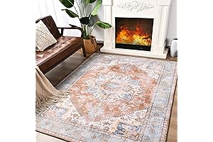 ST. BRIDGE Soft Vintage Rug 4x6