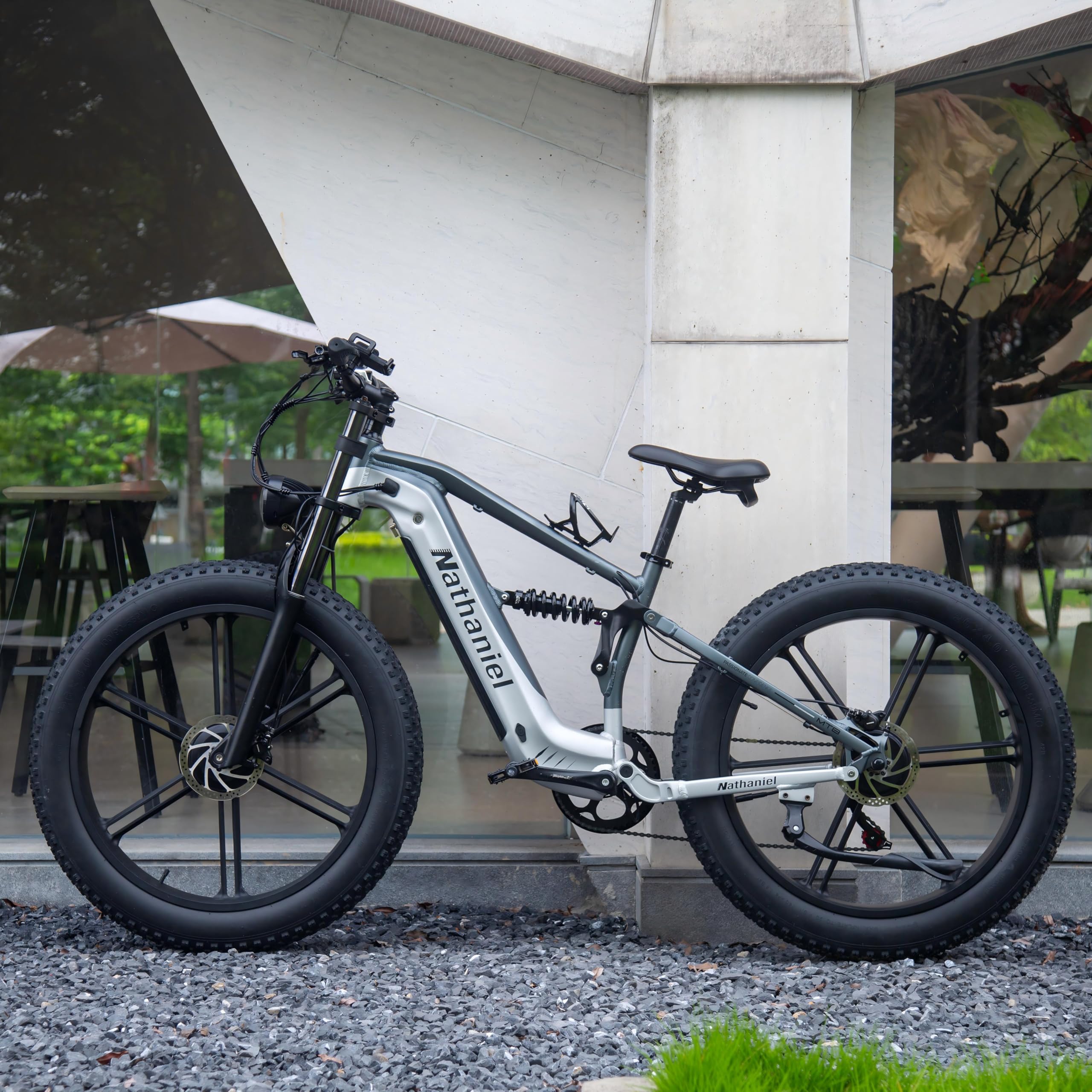 Nathaniel SYR09 Adult Electric Bike, Dual Motor,26 * 4.0Fat Tires,48V20Ah, All Terrain Off-Road E-Bike