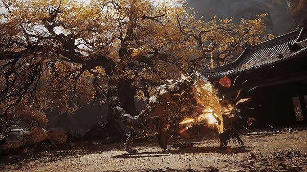 Black Myth: Wukong - PS5 - 4