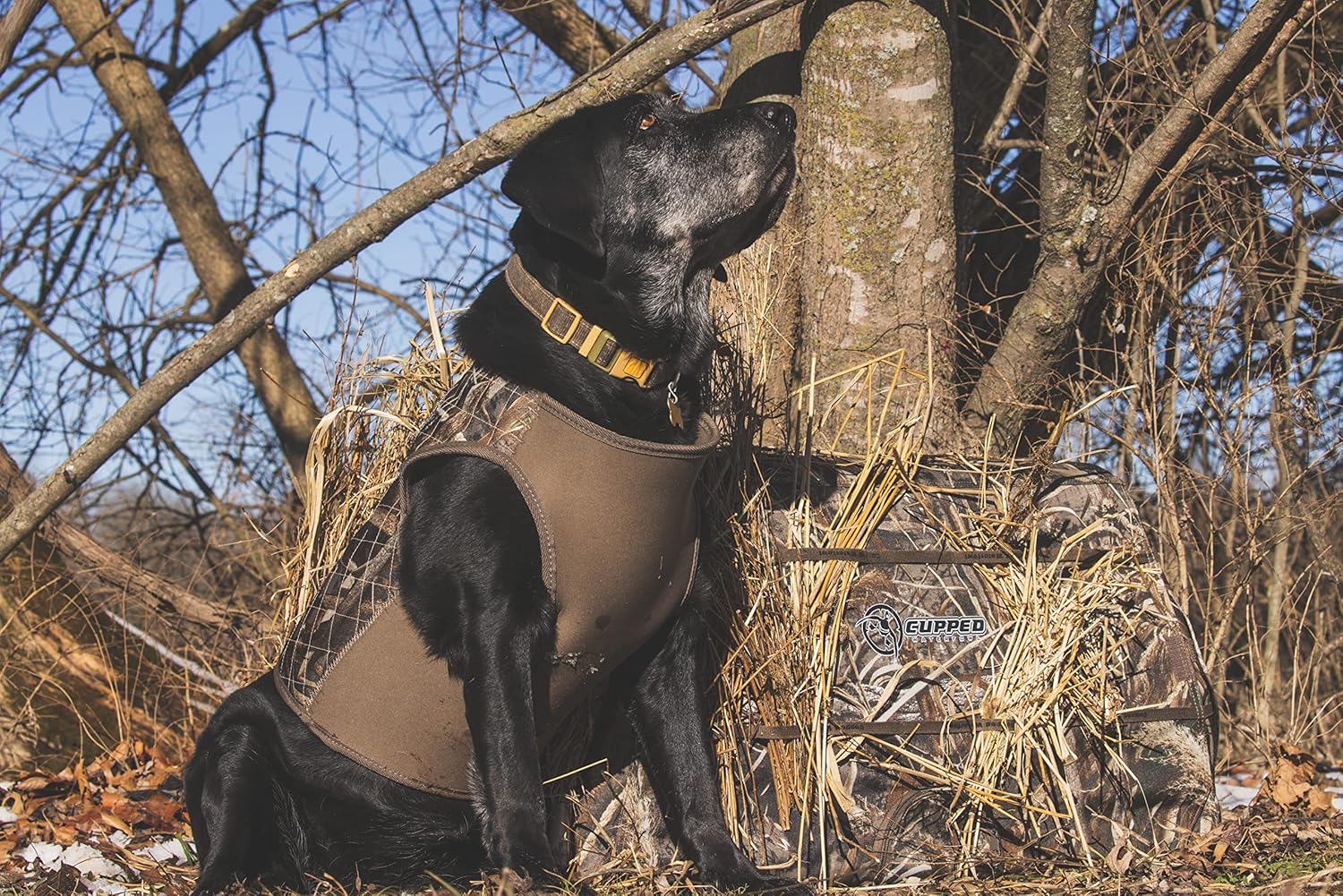 Cupped Waterfowl Hunting Dog Blind, Lightweight Easy-Setup Dog Blind for Hunting Dogs with Front/Rear Entrance