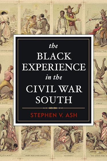 The Black Experience in the Civil War South