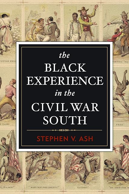Portada de The Black Experience in the Civil War South
