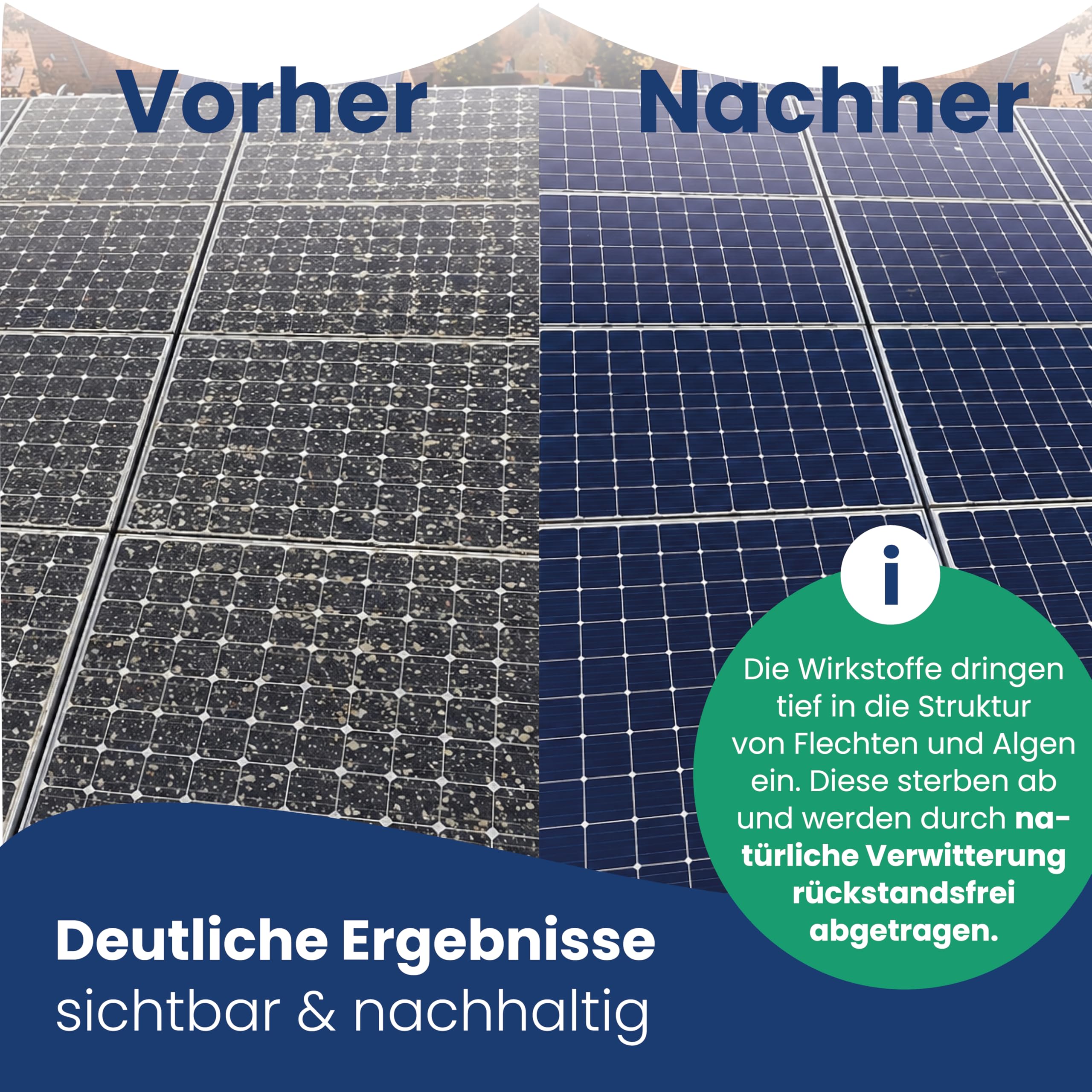 AGO Quart PV Solarmodul-Spezialreiniger 2 Liter – Solarreiniger, Algen- & Flechtenentferner für Photovoltaikanlage – selbsttätig – Photovoltaik Reiniger 1:10