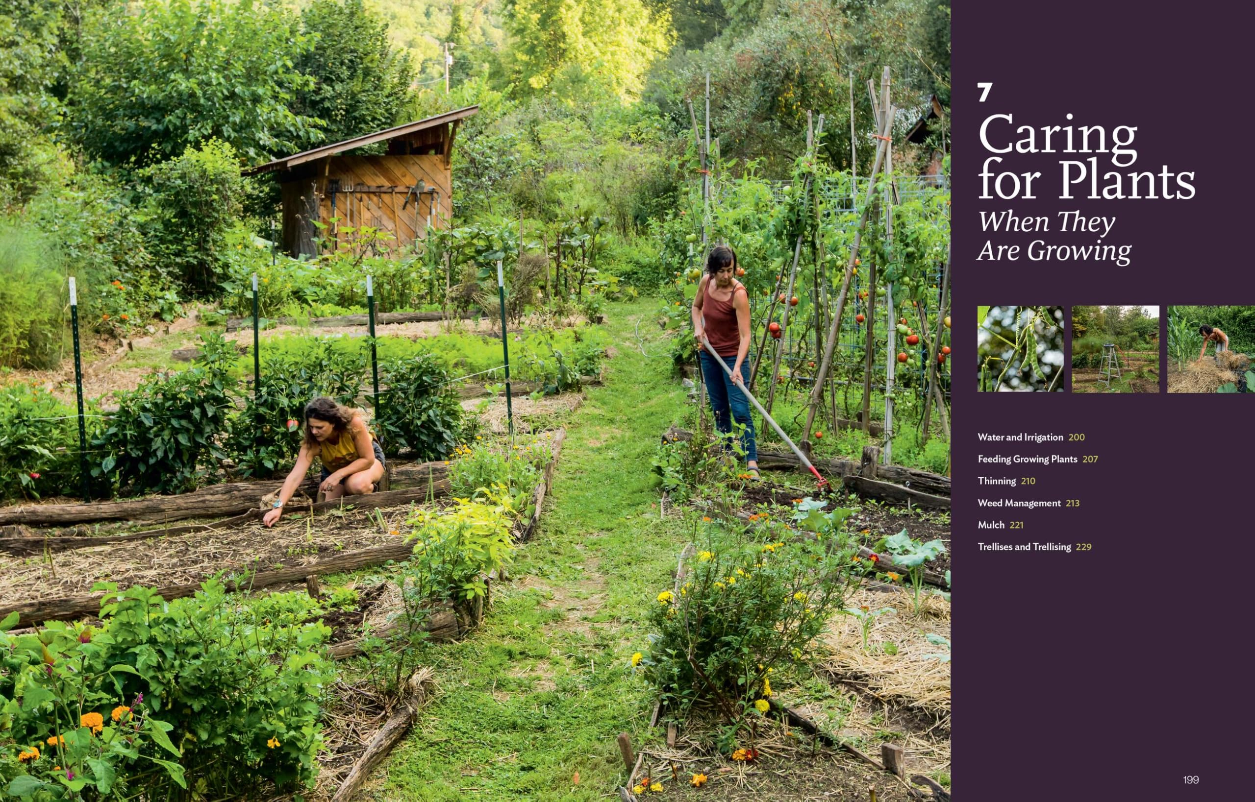 Grow Your Own Garden: A Complete Guide -9