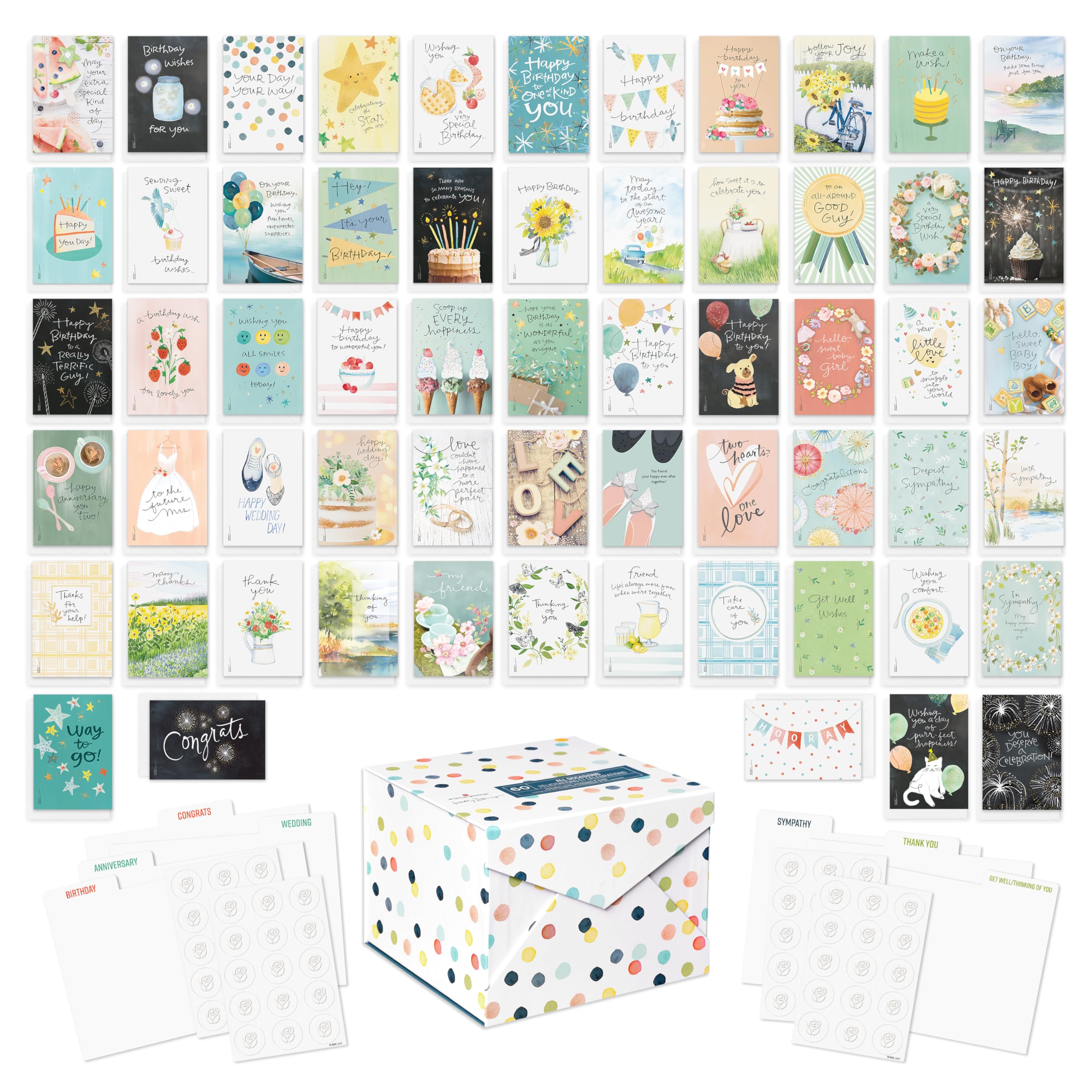 American Greetings 60-Count All Occasion Greeting Card Assortment with Storage Box, Dividers, Envelopes and Seals (Kathy Davis Designs)