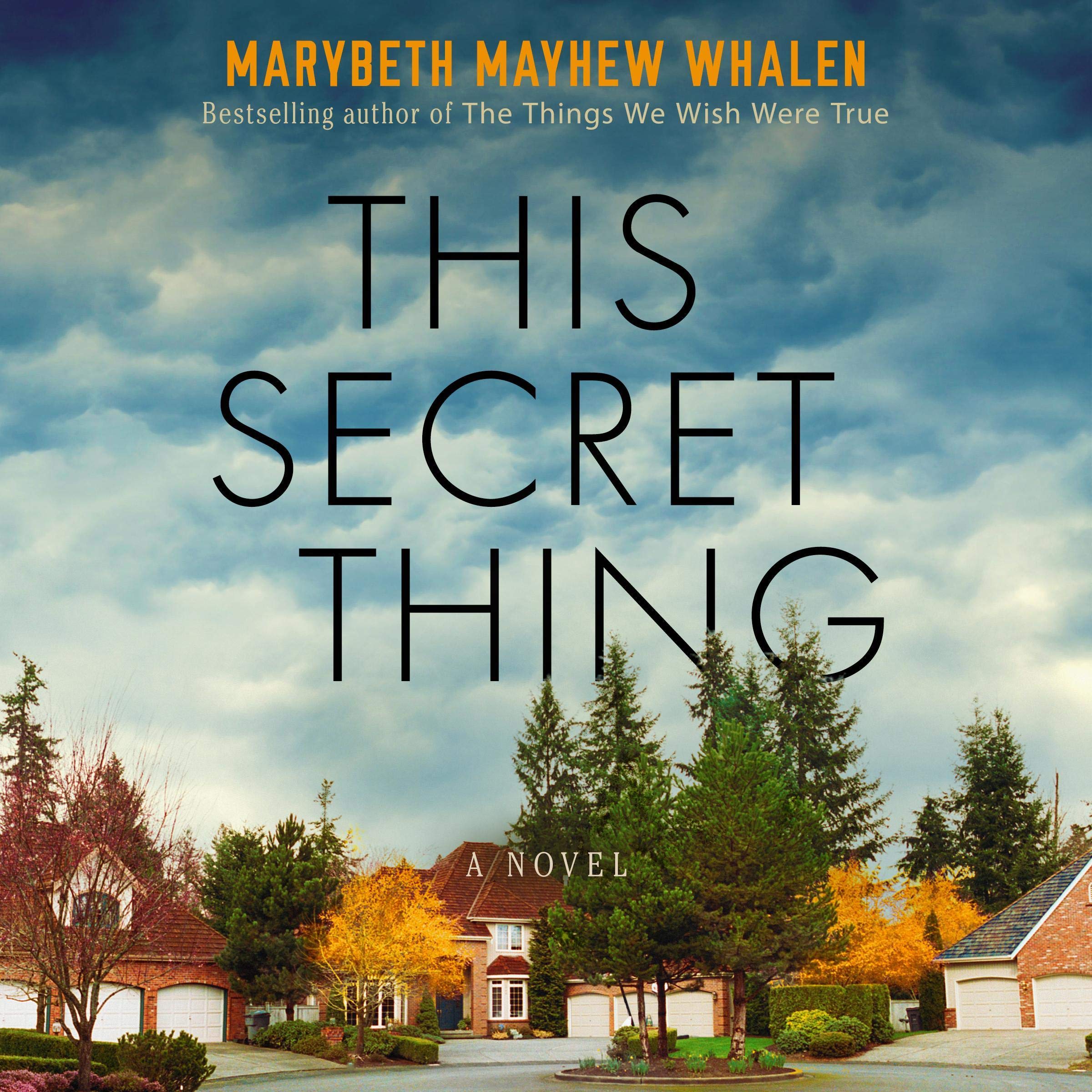 Cover art for This Secret Thing