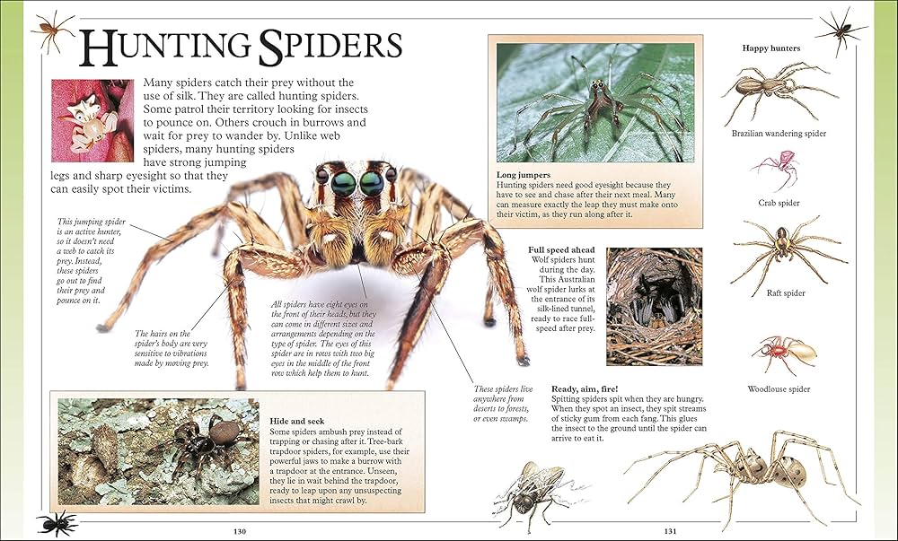 その他 Big Book of Knowledge Amazon | Big Book of Knowledge | DK | Encyclopedias