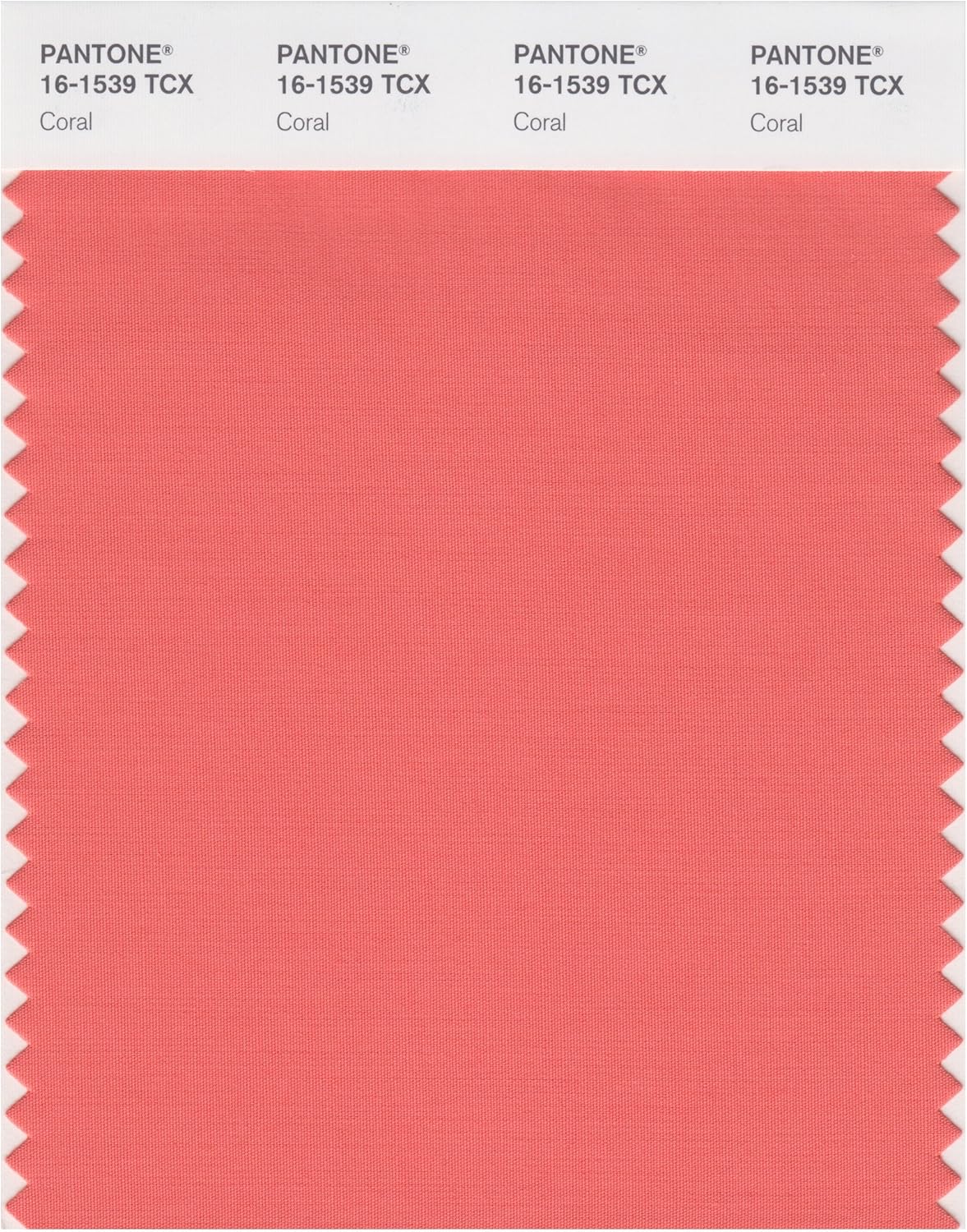 Amazon.com: PANTONE Smart 16-1539X Color Swatch Card, Coral : Home ...