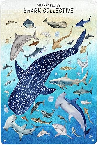 PANDASBLANKET Cartel de metal de aluminio de especies de tiburĂłn y peces para decoraciĂłn de pared, 12 x 8 pulgadas, decoraciĂłn de pared vintage para PANDASBLANKET Cartel de metal de aluminio de especies de tiburĂłn y peces para decoraciĂłn de pared, 12 x 8 pulgadas, decoraciĂłn de pared vintage para