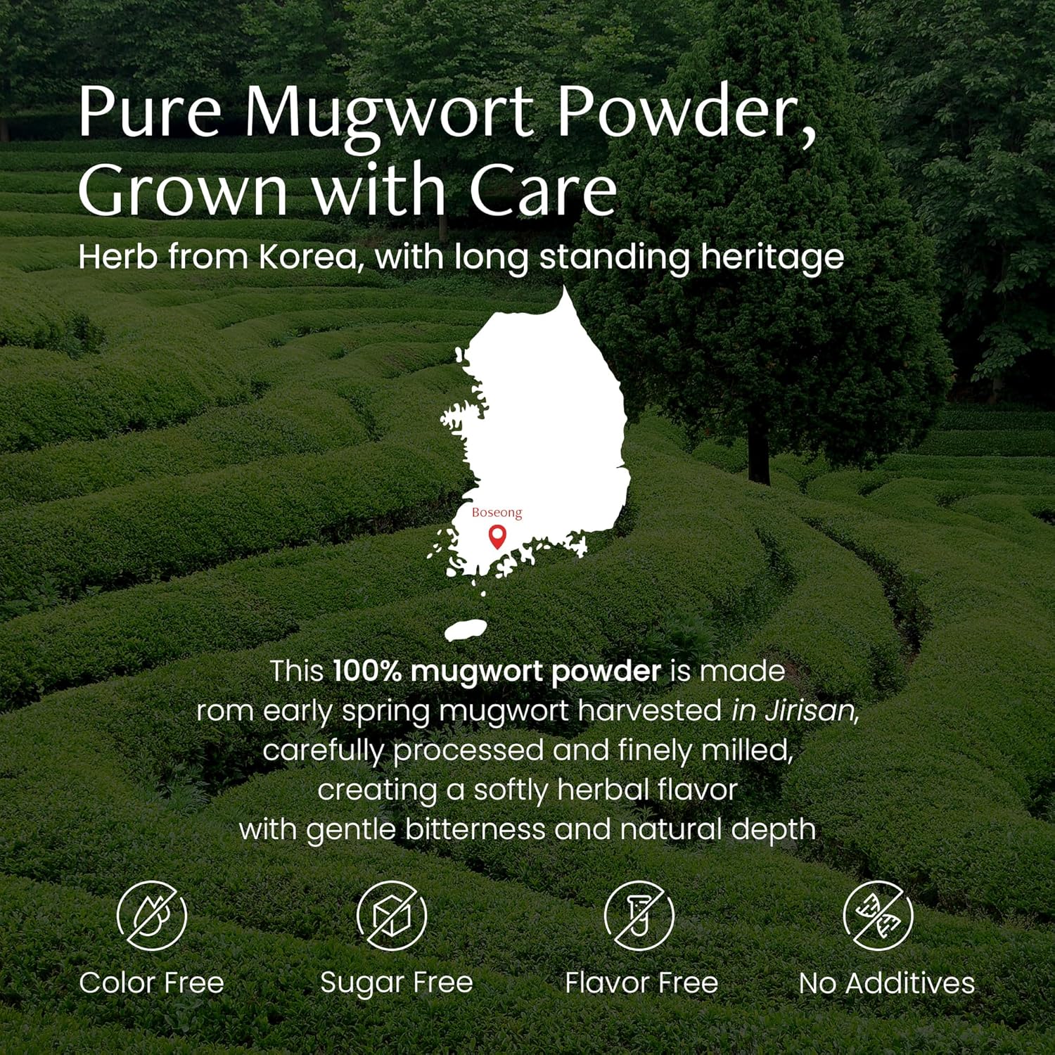 Magpie&Tiger Mugwort Powder Tea - Wild-Grown Korean Herbal Tea | Caffeine-Free, Earthy Flavor (40g)