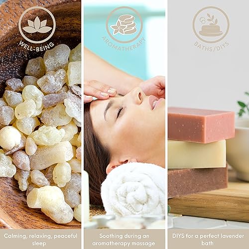 Miniatura 3 de Aceite esencial de incienso orgánico, 1 onza líquida, certificado por USDA, orgánico, sin OMG, puro y natural, aceite de grado terapéutico para