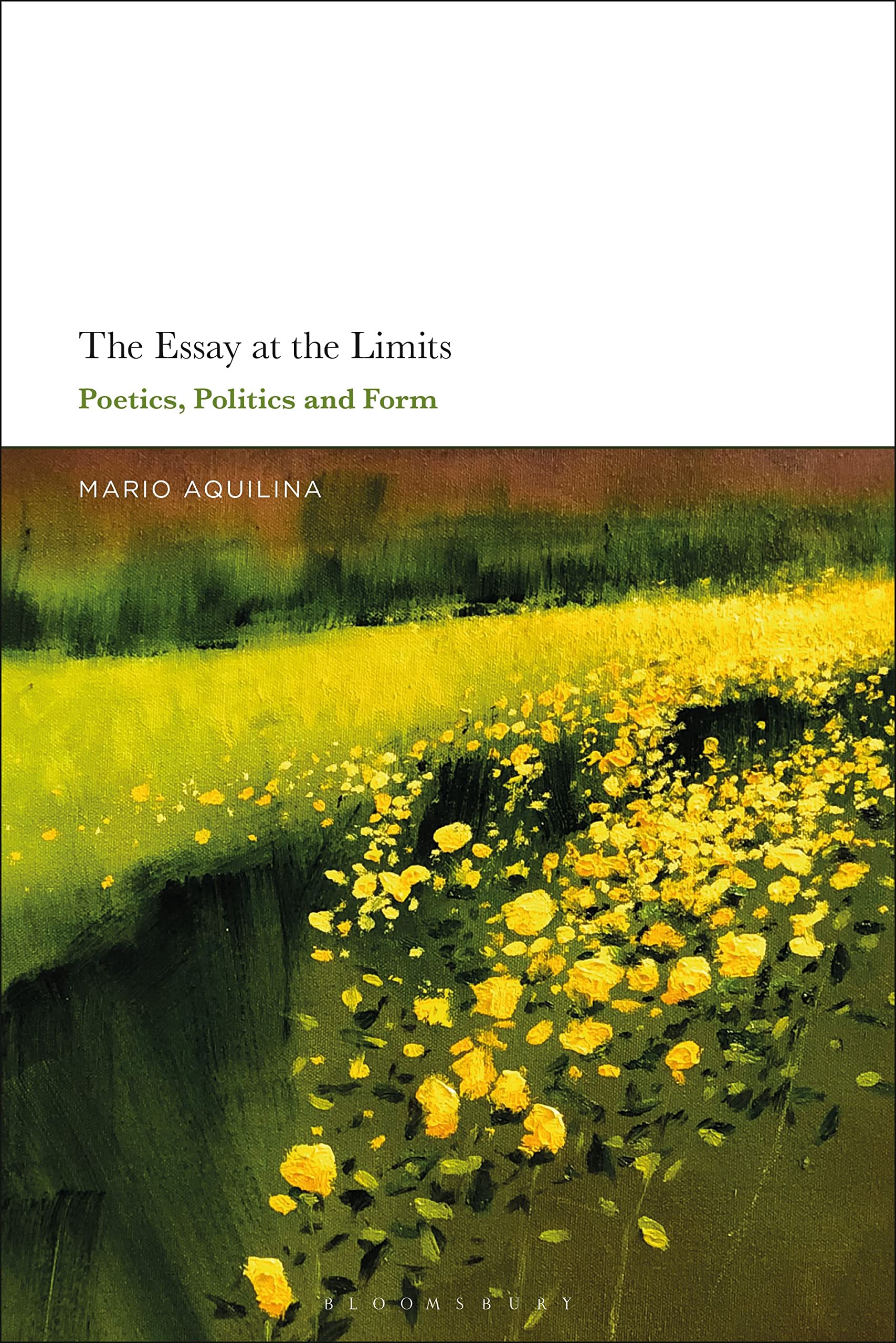 Essay At the Limits, The: Poetics, Politics and Form