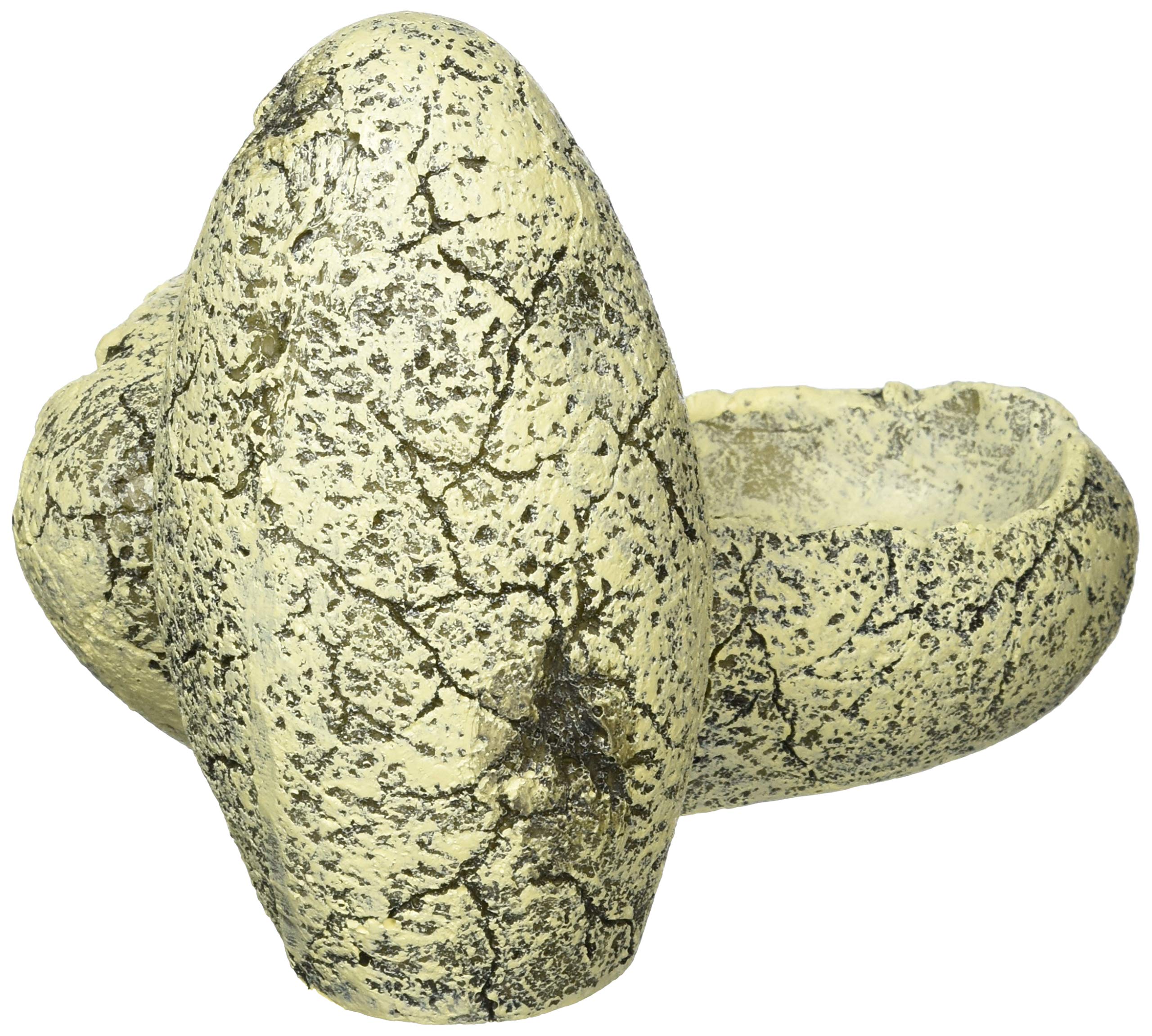 にたまご。 Amazon | ジェックス EXO TERRA (エキゾテラ) 恐竜の卵S PT2840