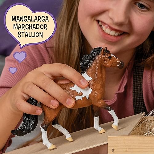 Miniatura 2 de Schleich Horse Club - Figura de caballo de semental marchador Mangalarga - Figuras de poni para niñas y niños - Niños a partir de 5 años