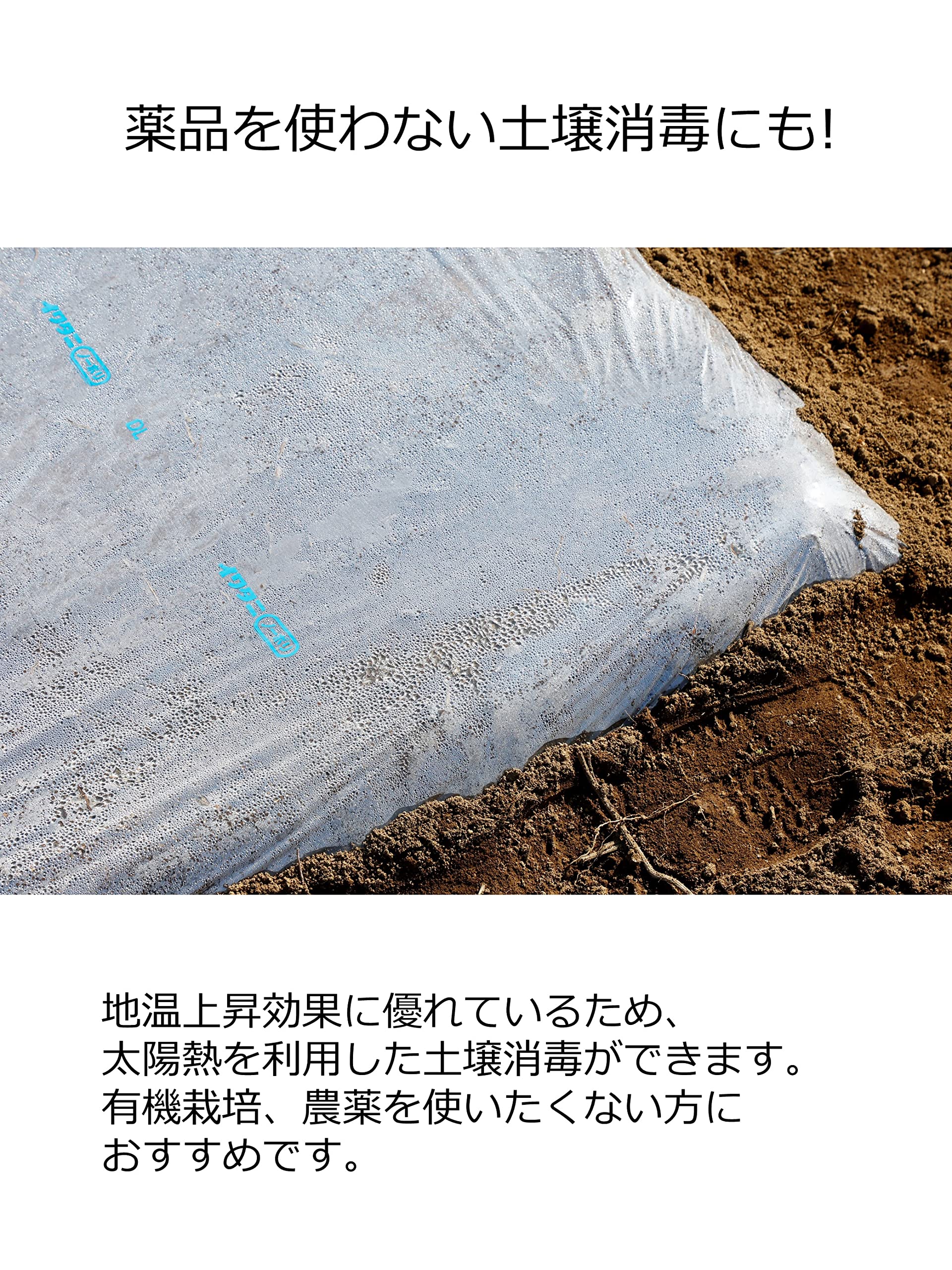 Amazon.co.jp: 岩谷マテリアル(Iwatani Materials) イワタニ菜園