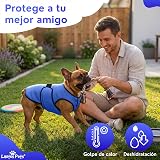 Ver la foto 3